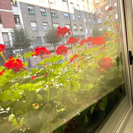 New Fika 4a Бильбао